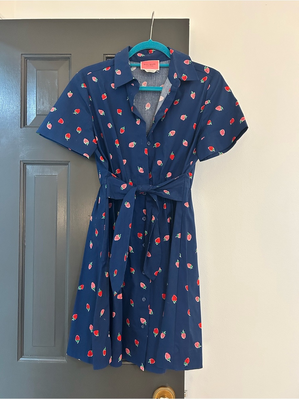 kate spade Navy Strawberry Print Button Dress with Self-Tie